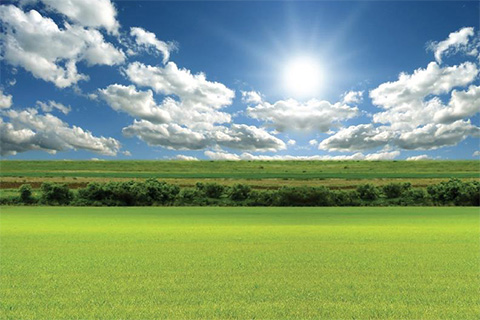 The sun shining over a green field