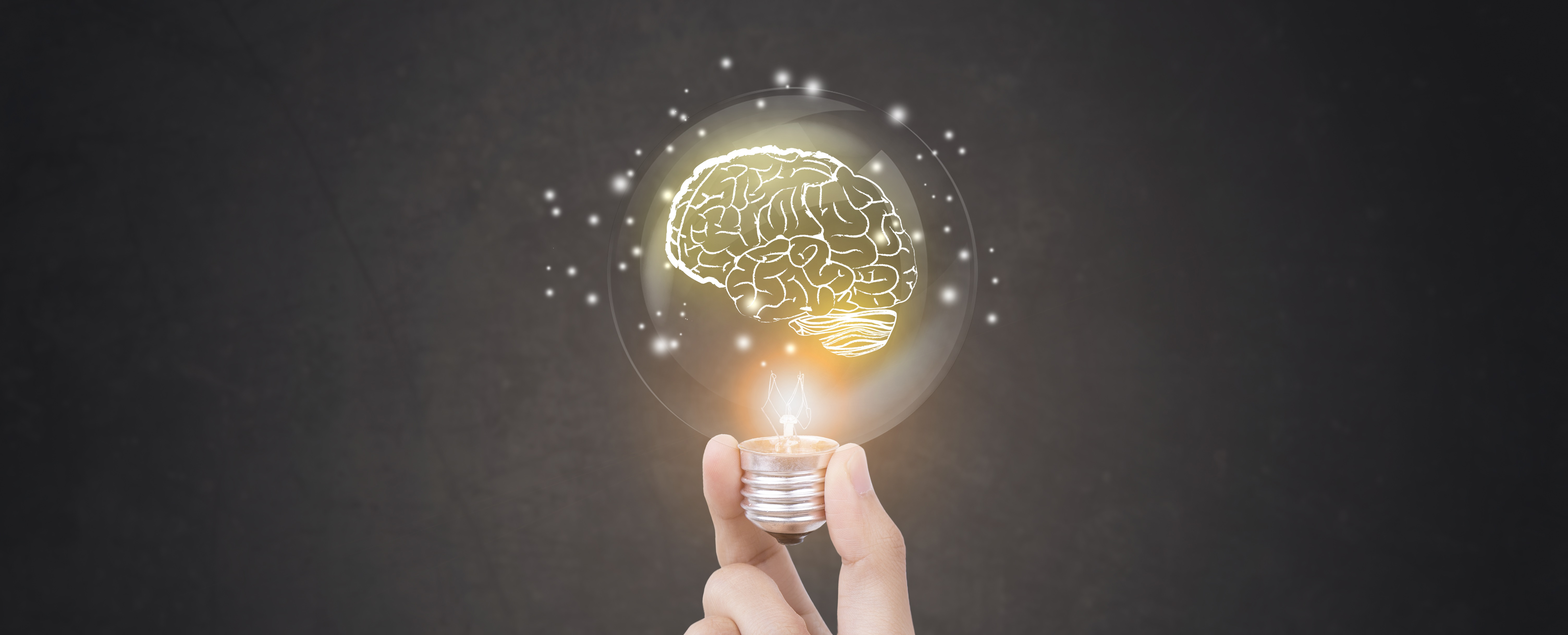 Image of a lit bulb with the image of a brain inside he bulb.